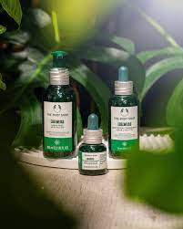 body shop edelweiss
