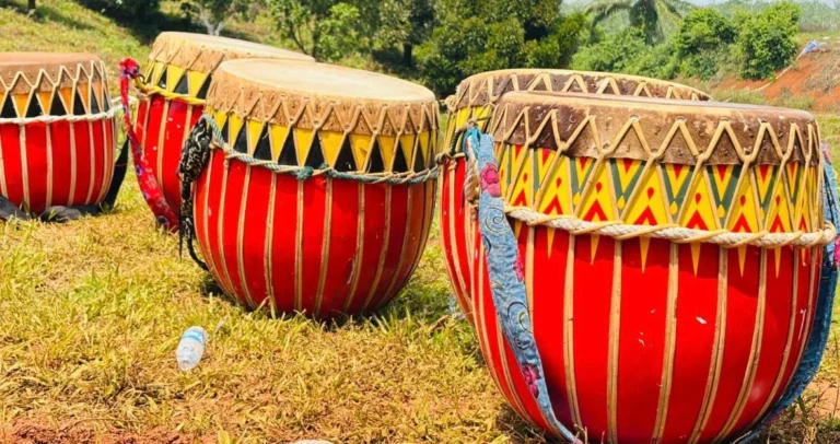 Mengenal alat musik dol bengkulu : keunikan budaya indonesia